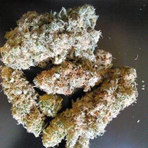 Blueberry Kush Marijuana Strain