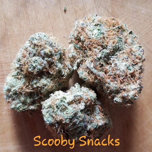 Buy Scooby Snacks Strain