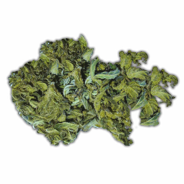 Chemdawg 91 Medical Marijuana