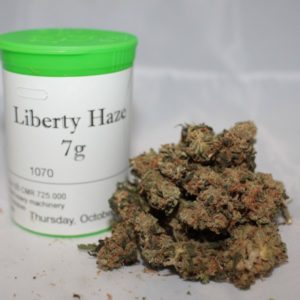 Liberty Haze Medical Strain