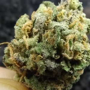Maple Wreck Cannabis Strain