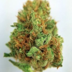 Buy Sublime Cannabis Strain