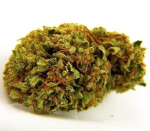 Tangie Biscotti Medical Marijuana UK