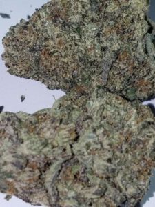 Thin Mint Medical Marijuana